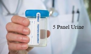 Urine 5 pane Drug Test